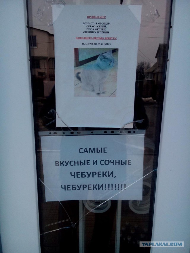 Разные вывески и надписи