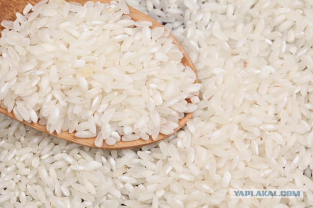 Пластиковый рис из Китая атакует рынки