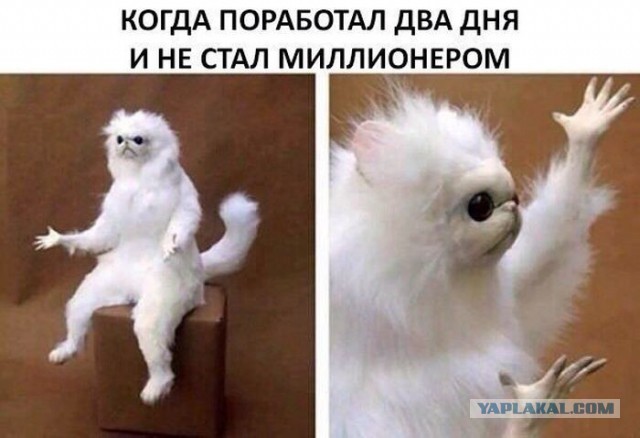 картинки. подборка.