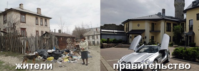 Сравнение зрения человека со зрением животных