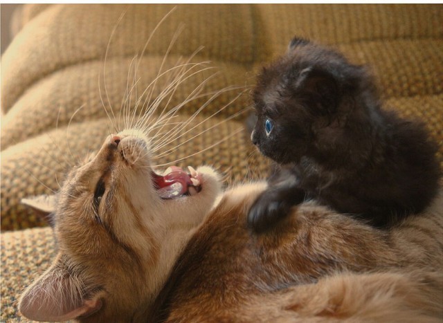 Подборка интересных и веселых картинок