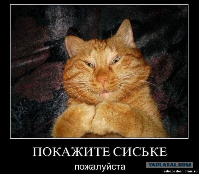 Это не фейк?