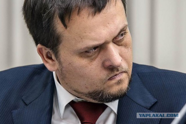 "Сначала нужно пустить котов"