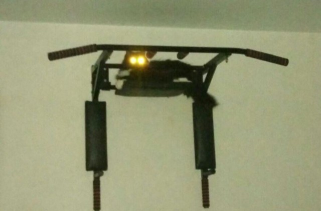 Котовторник