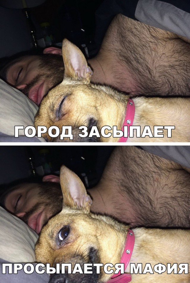 Нестандартный юмор