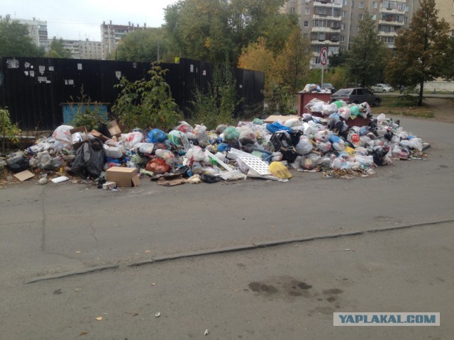 Челябинск завален мусором