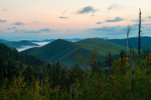 Таёжная река