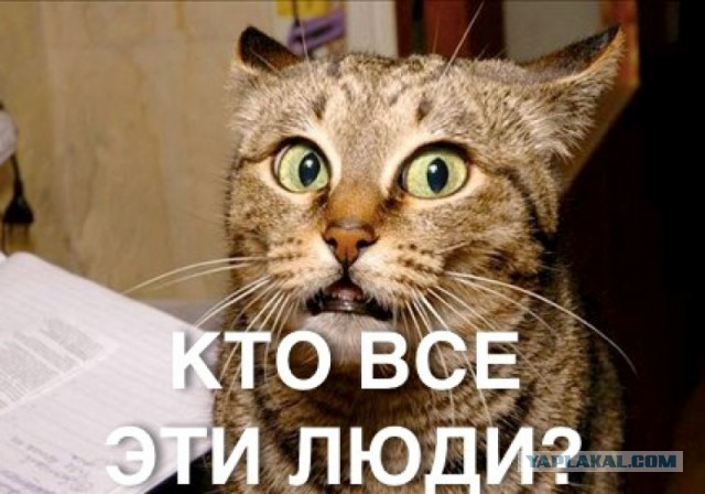 ЯПлакал 15 милионов человек!