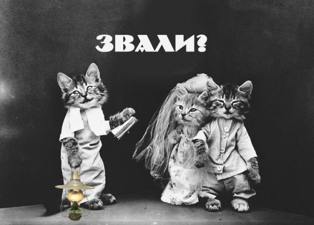 Как я на свадьбу не пойду