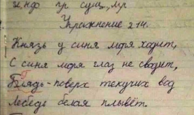 Записи в школьных дневниках и тетрадях