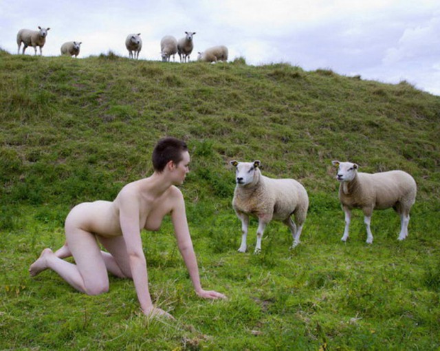 Скотсети и прочие интернеты 04.03.19