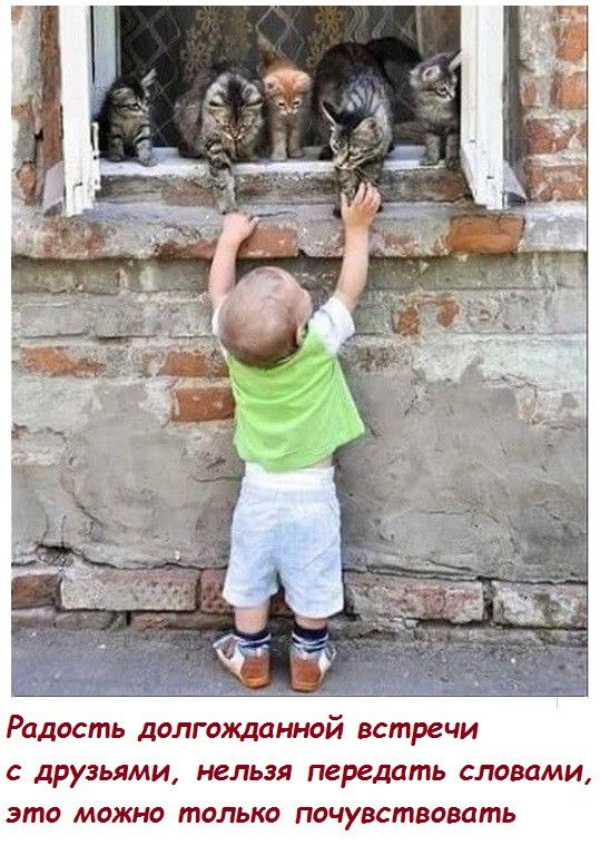 Анекдоты, истории и картинки с надписями