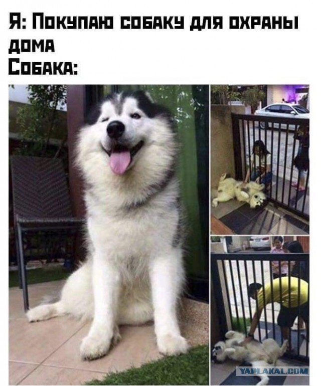 Чуток картинок! Финал в этом году