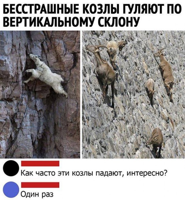 Бредзона 12.01.2020