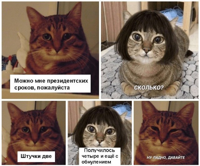 100 разных картинок