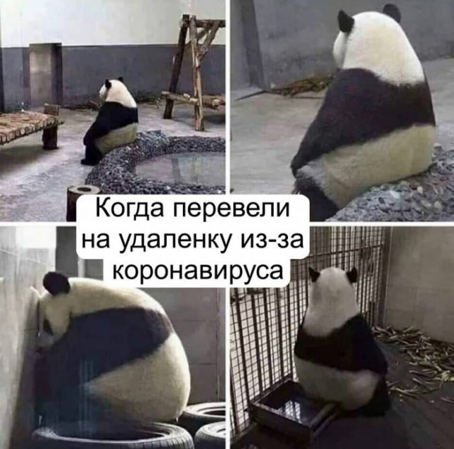 Немного картинок для настроения 24.03.20