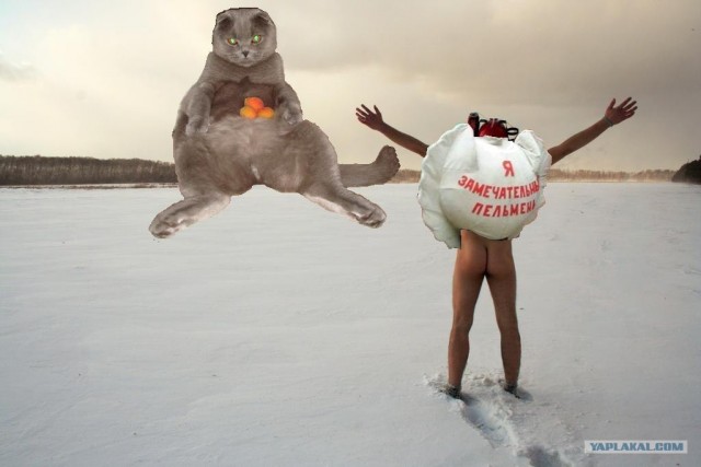 Фотожаба: Скоро зима