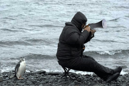 Внимательный фотограф