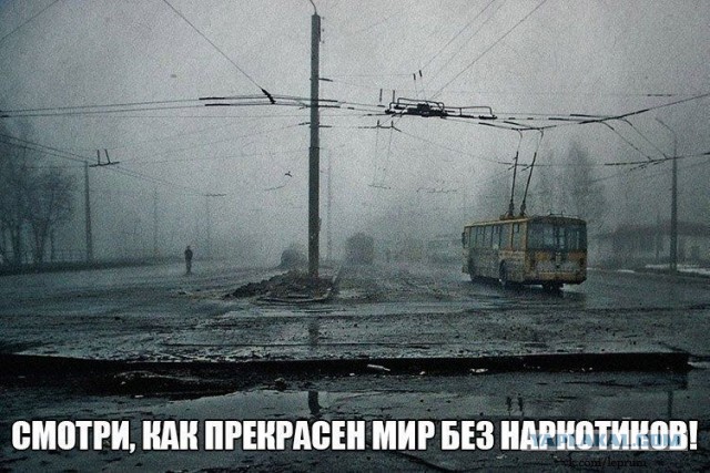 Путин признал легализацию каннабиса в мире угрозой нацбезопасности России