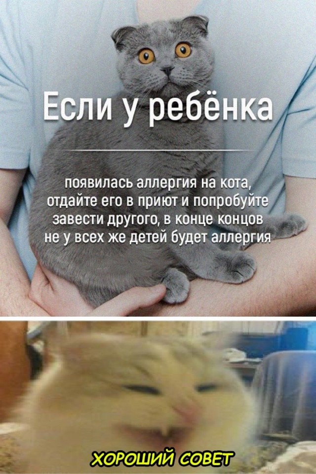 Немного смешных картинок