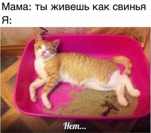 Так себе картинки 14.03.21