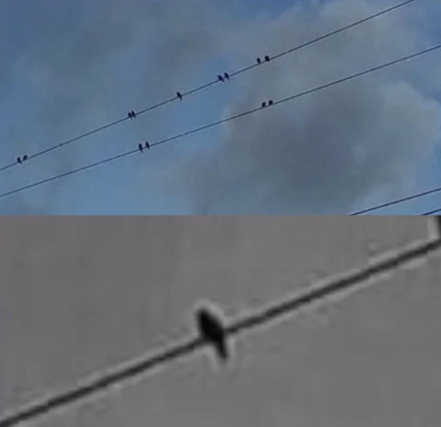 Картинки и мемы для настроения 14.04.2021