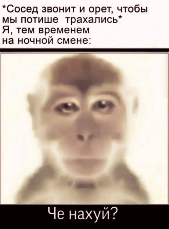 Забавные пошлости