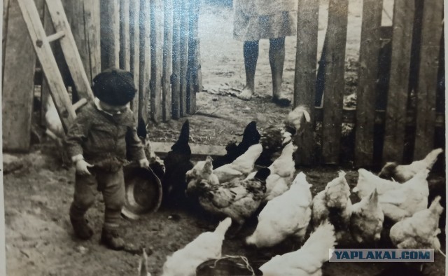 Редкие фотографии