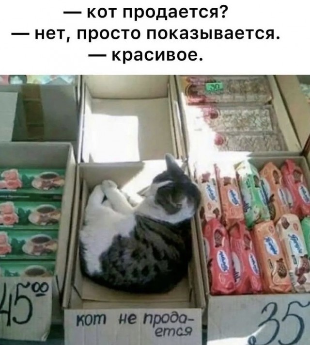 Так себе картинки 07.09.21