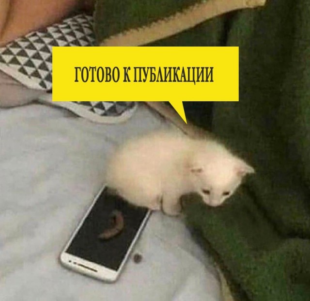 Картинки и мемы для настроения 12.10.2021
