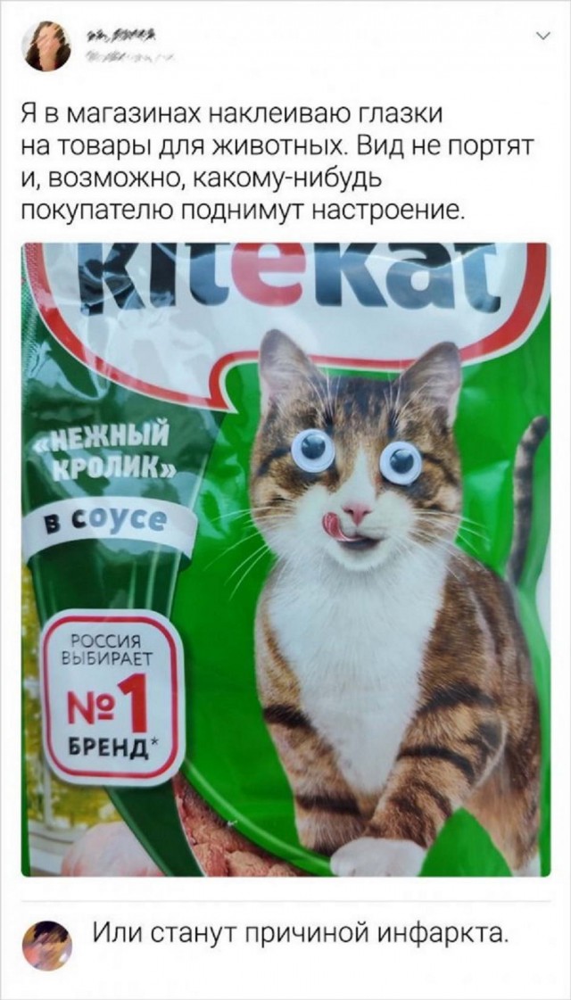 Картинки и мемы для настроения 18.10.2021