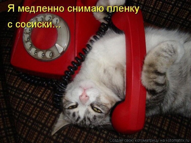 Так себе картинки 27.02.22