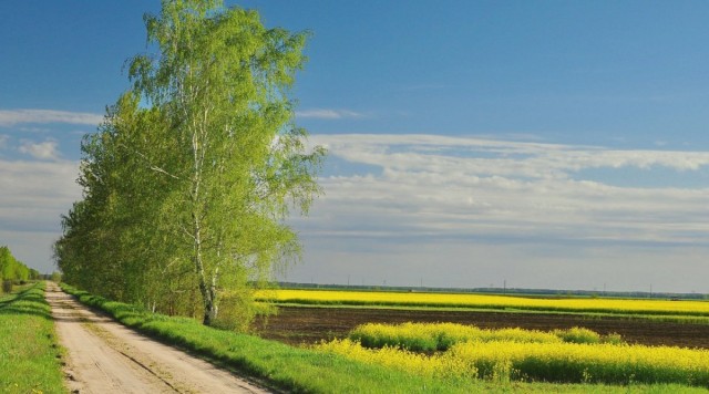 Весной в русской глубинке