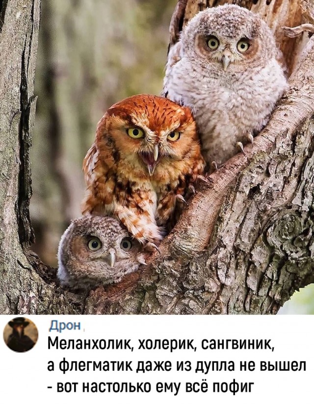 Так себе картинки 01.04.22