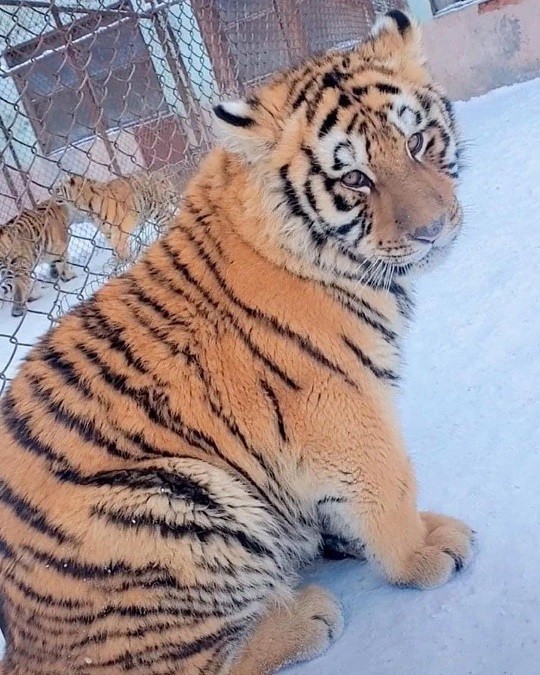 40 картинок разных 13.04.2022