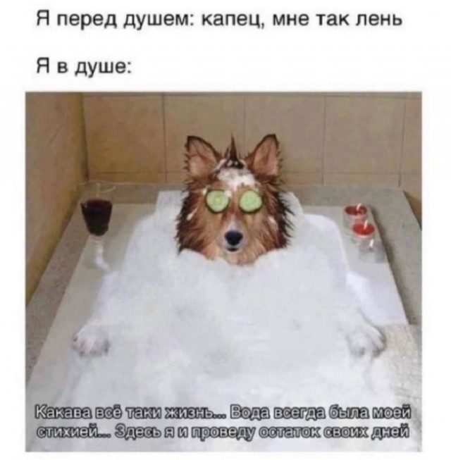 Картинки с надписями и всякие жизненные фразы