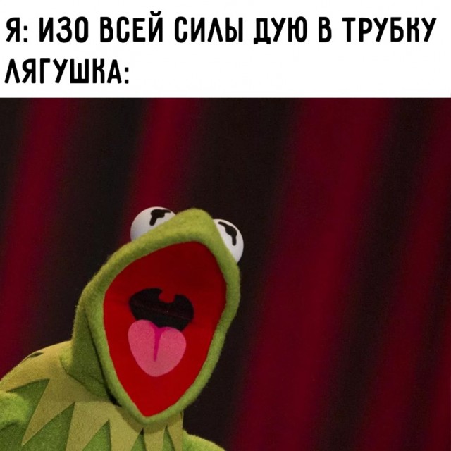 Картинки и мемы, выходные продолжаются