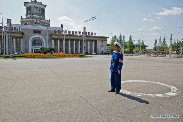 Северная Корея "в цвете"