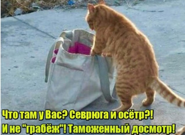 Группа лиц по предварительному сговору...