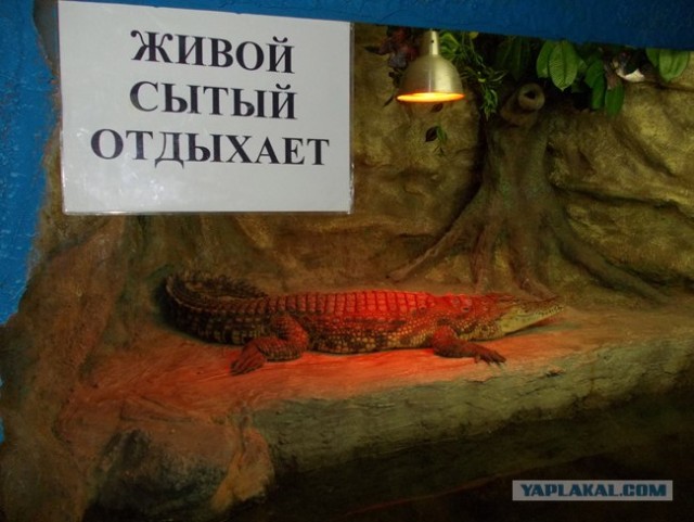 Велопутешествие по Крыму