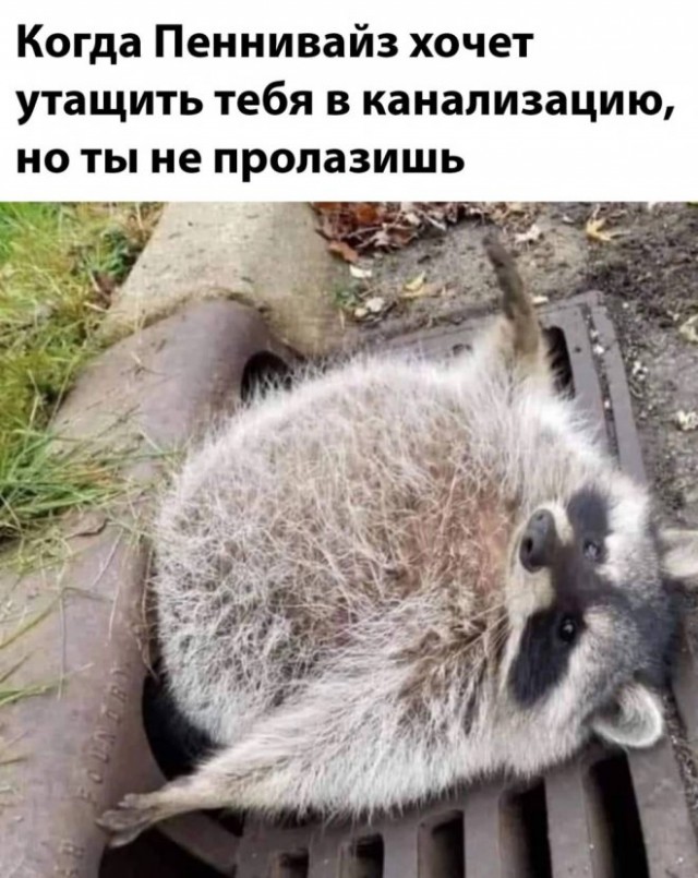 Так себе картинки 22.11.22