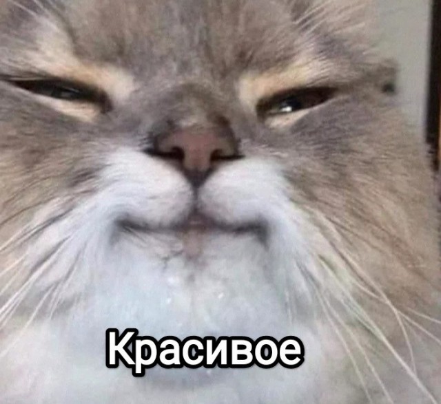 Прекрасная половина человечества, запечатленная профи (10)