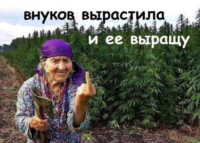 Прикольные и просто красивые картинки 29.11.2022