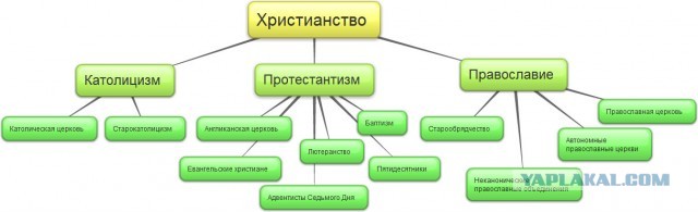 Теория эволюции Дарвина верна? Происхождение человека