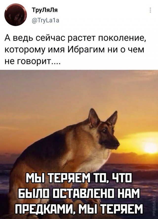 Картинки и мемы для настроения - 119