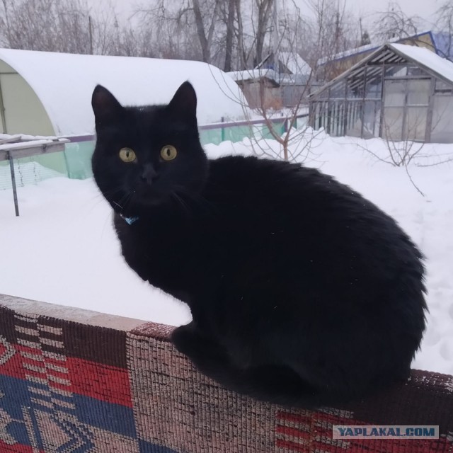Дождалась