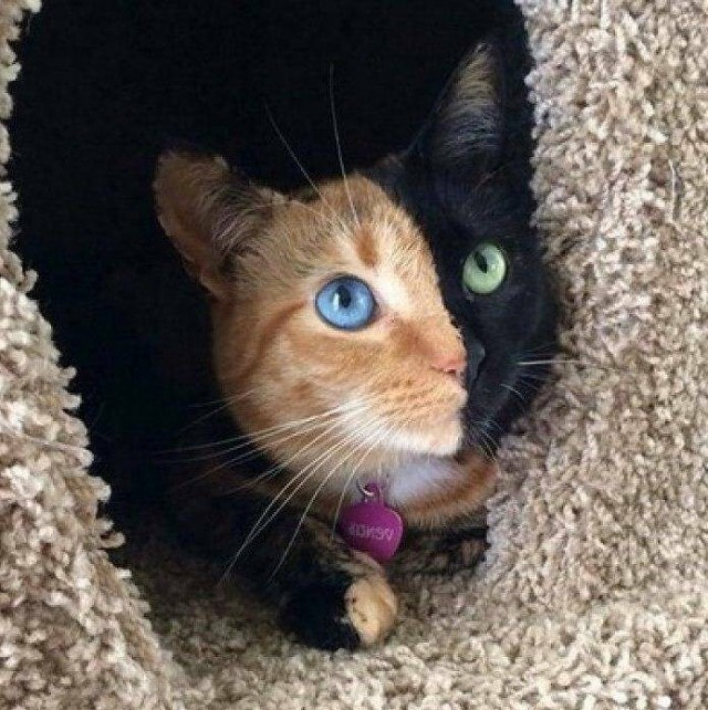 Подборка интересных и прикольных фото из Сети 01.04.23