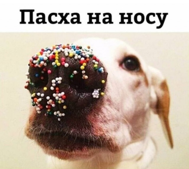 Картинки и мемы, всем хороших выходных
