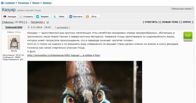 Казуар
