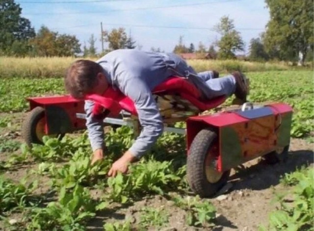 Я тёща. Проблемы с зятем. Дайте совет